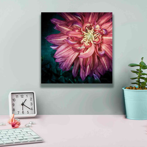 Image of 'Dahlia II' by Debra Van Swearingen, Canvas Wall Art,12 x 12