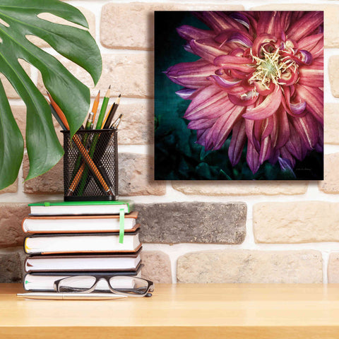 Image of 'Dahlia II' by Debra Van Swearingen, Canvas Wall Art,12 x 12