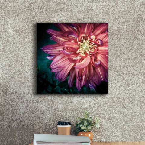 Image of 'Dahlia II' by Debra Van Swearingen, Canvas Wall Art,18 x 18