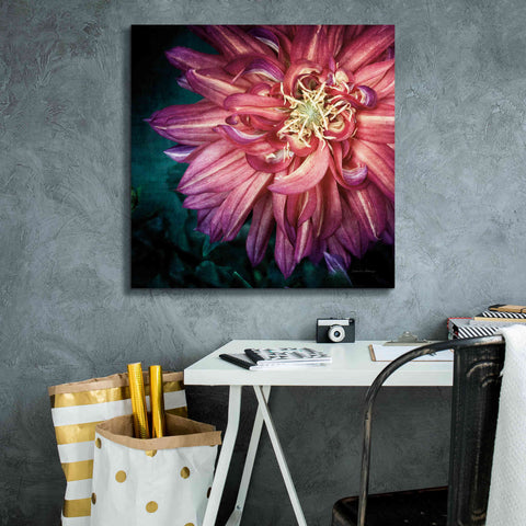 Image of 'Dahlia II' by Debra Van Swearingen, Canvas Wall Art,26 x 26