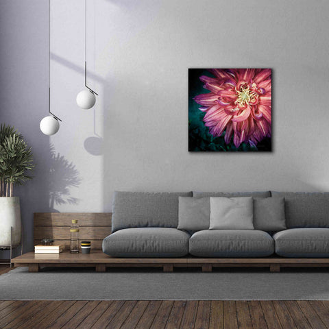 Image of 'Dahlia II' by Debra Van Swearingen, Canvas Wall Art,37 x 37