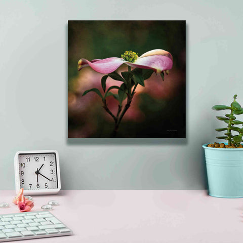 Image of 'Pink Dogwood I' by Debra Van Swearingen, Canvas Wall Art,12 x 12
