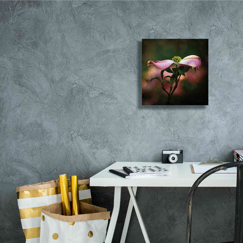 Image of 'Pink Dogwood I' by Debra Van Swearingen, Canvas Wall Art,12 x 12