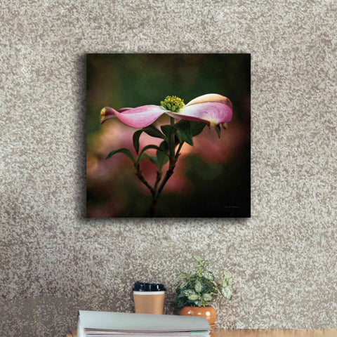 Image of 'Pink Dogwood I' by Debra Van Swearingen, Canvas Wall Art,18 x 18