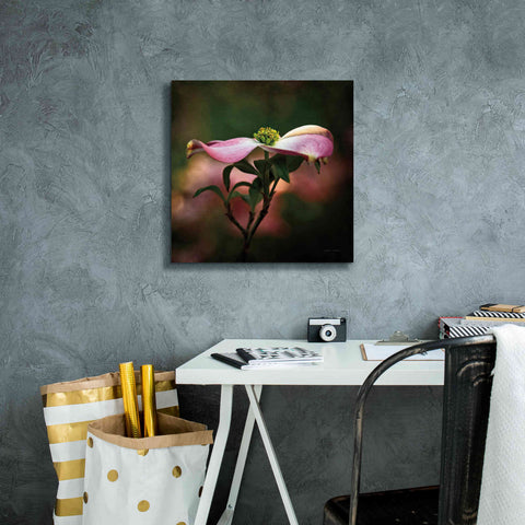 Image of 'Pink Dogwood I' by Debra Van Swearingen, Canvas Wall Art,18 x 18