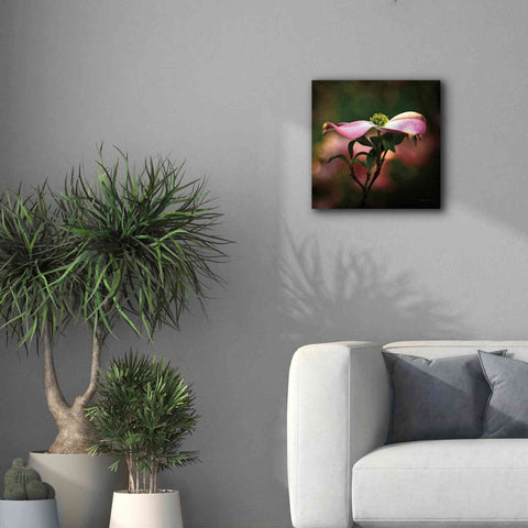 Image of 'Pink Dogwood I' by Debra Van Swearingen, Canvas Wall Art,18 x 18