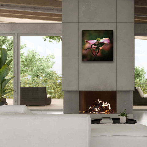 Image of 'Pink Dogwood I' by Debra Van Swearingen, Canvas Wall Art,26 x 26