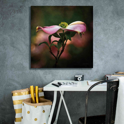 Image of 'Pink Dogwood I' by Debra Van Swearingen, Canvas Wall Art,26 x 26
