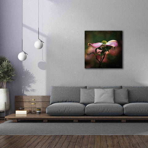 Image of 'Pink Dogwood I' by Debra Van Swearingen, Canvas Wall Art,37 x 37