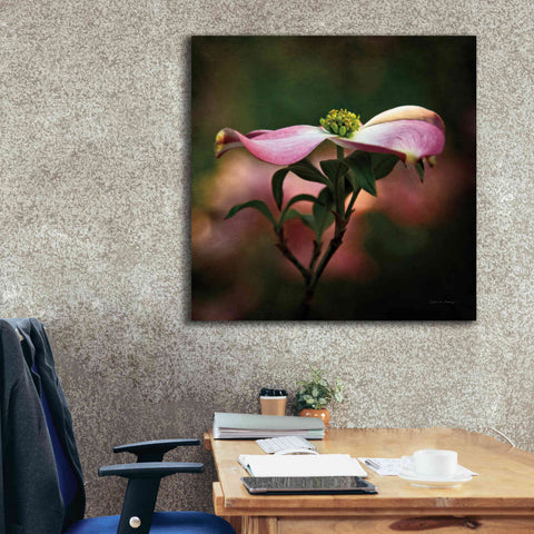 Image of 'Pink Dogwood I' by Debra Van Swearingen, Canvas Wall Art,37 x 37