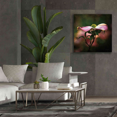 Image of 'Pink Dogwood I' by Debra Van Swearingen, Canvas Wall Art,37 x 37