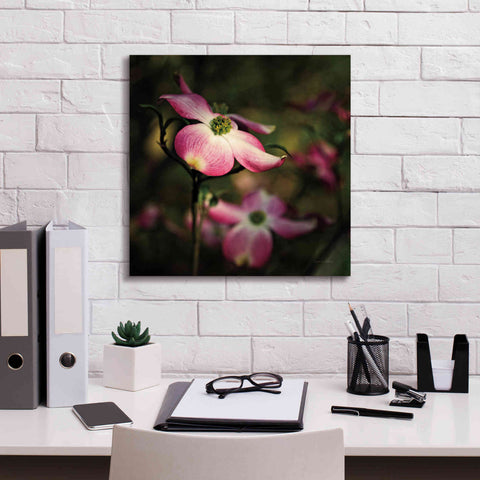 Image of 'Pink Dogwood II' by Debra Van Swearingen, Canvas Wall Art,18 x 18