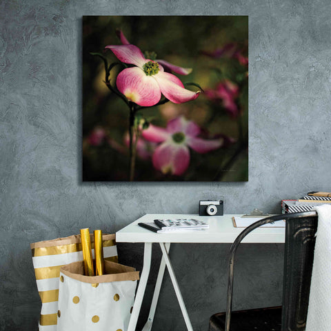 Image of 'Pink Dogwood II' by Debra Van Swearingen, Canvas Wall Art,26 x 26