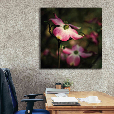 Image of 'Pink Dogwood II' by Debra Van Swearingen, Canvas Wall Art,37 x 37