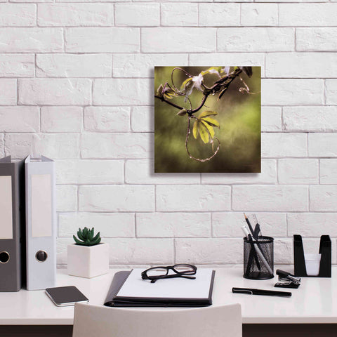 Image of 'Passion Flower Vine I' by Debra Van Swearingen, Canvas Wall Art,12 x 12