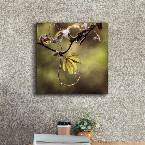 Image of 'Passion Flower Vine I' by Debra Van Swearingen, Canvas Wall Art,18 x 18