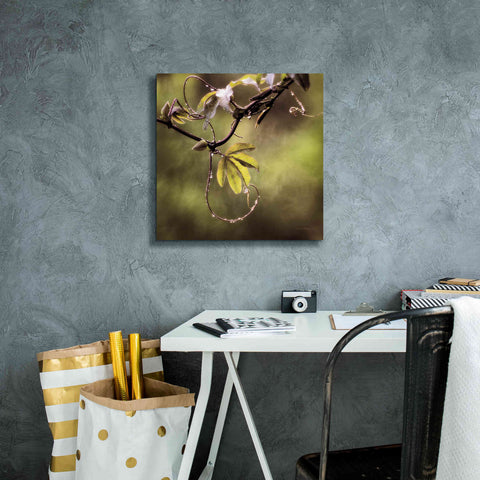 Image of 'Passion Flower Vine I' by Debra Van Swearingen, Canvas Wall Art,18 x 18