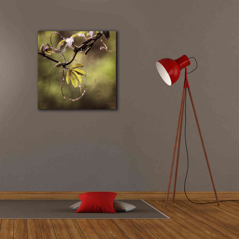 Image of 'Passion Flower Vine I' by Debra Van Swearingen, Canvas Wall Art,26 x 26
