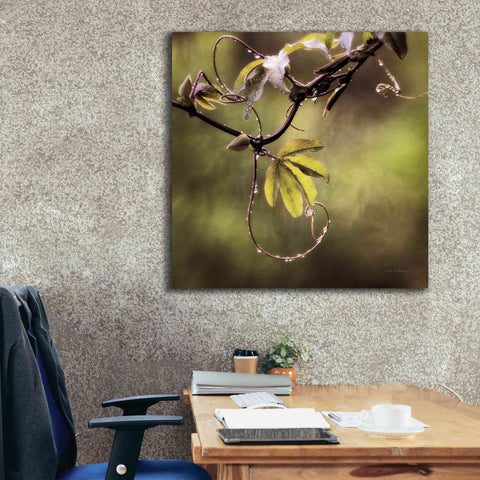 Image of 'Passion Flower Vine I' by Debra Van Swearingen, Canvas Wall Art,37 x 37