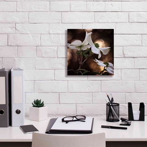 Image of 'White Dogwood I' by Debra Van Swearingen, Canvas Wall Art,12 x 12