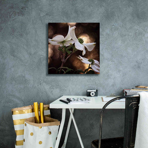 Image of 'White Dogwood I' by Debra Van Swearingen, Canvas Wall Art,18 x 18