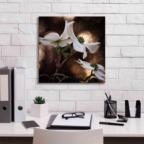 Image of 'White Dogwood I' by Debra Van Swearingen, Canvas Wall Art,18 x 18