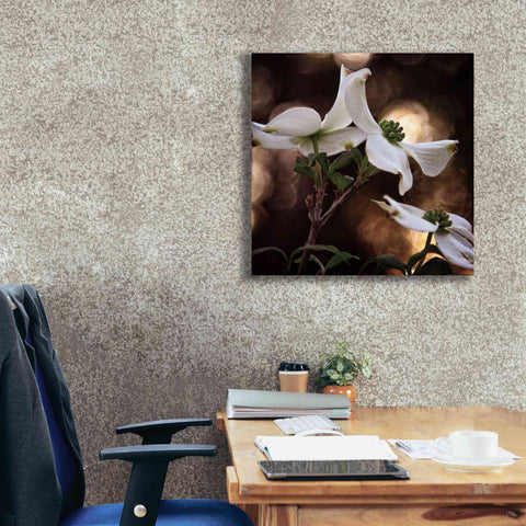 Image of 'White Dogwood I' by Debra Van Swearingen, Canvas Wall Art,26 x 26