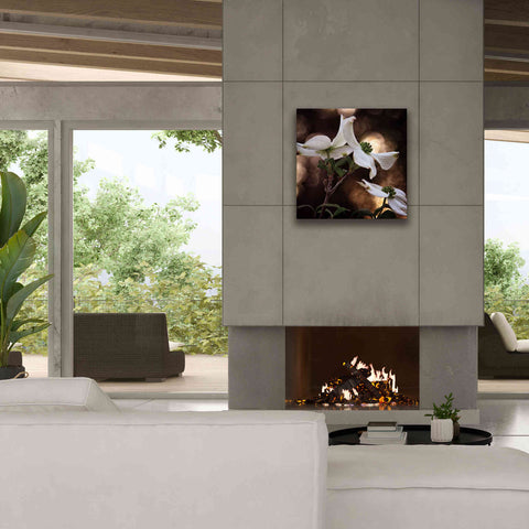 Image of 'White Dogwood I' by Debra Van Swearingen, Canvas Wall Art,26 x 26