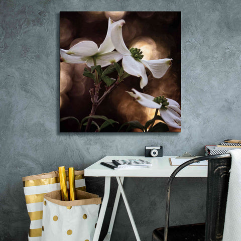 Image of 'White Dogwood I' by Debra Van Swearingen, Canvas Wall Art,26 x 26