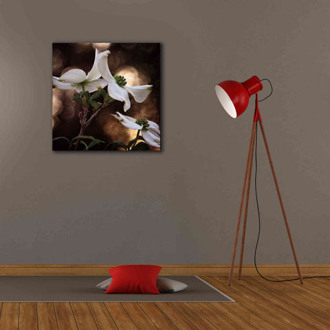 Image of 'White Dogwood I' by Debra Van Swearingen, Canvas Wall Art,26 x 26