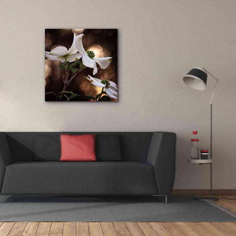 Image of 'White Dogwood I' by Debra Van Swearingen, Canvas Wall Art,37 x 37
