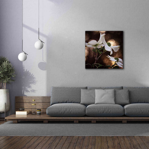 Image of 'White Dogwood I' by Debra Van Swearingen, Canvas Wall Art,37 x 37