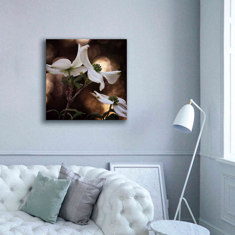Image of 'White Dogwood I' by Debra Van Swearingen, Canvas Wall Art,37 x 37