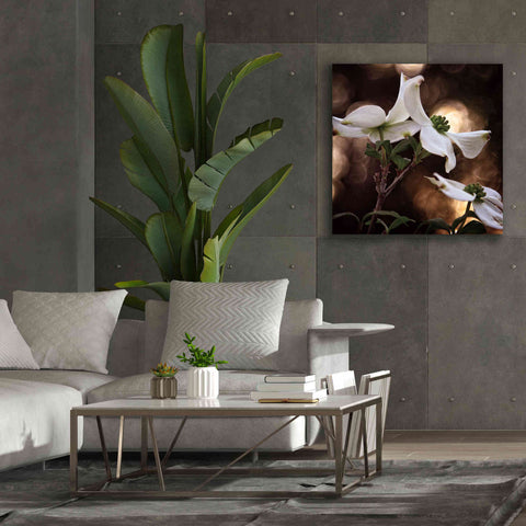 Image of 'White Dogwood I' by Debra Van Swearingen, Canvas Wall Art,37 x 37