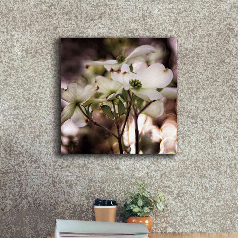 Image of 'White Dogwood II' by Debra Van Swearingen, Canvas Wall Art,18 x 18