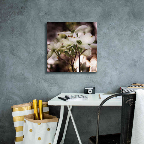 Image of 'White Dogwood II' by Debra Van Swearingen, Canvas Wall Art,18 x 18