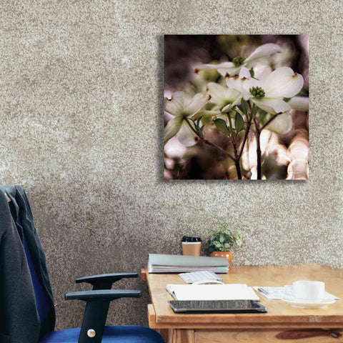 Image of 'White Dogwood II' by Debra Van Swearingen, Canvas Wall Art,26 x 26