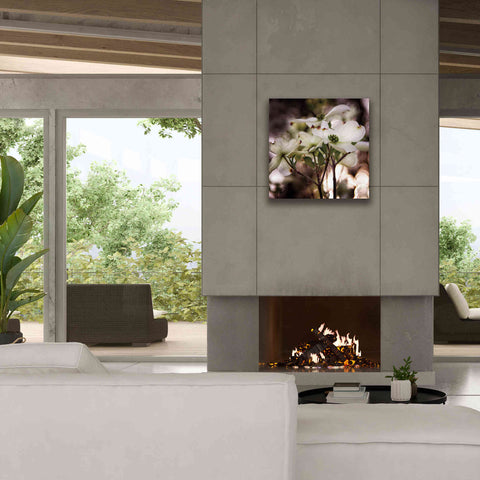 Image of 'White Dogwood II' by Debra Van Swearingen, Canvas Wall Art,26 x 26