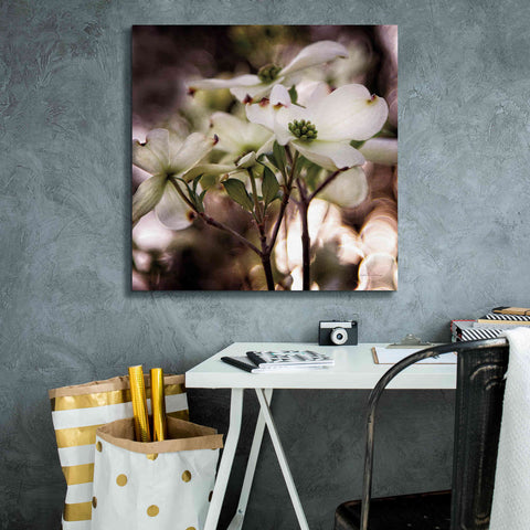 Image of 'White Dogwood II' by Debra Van Swearingen, Canvas Wall Art,26 x 26