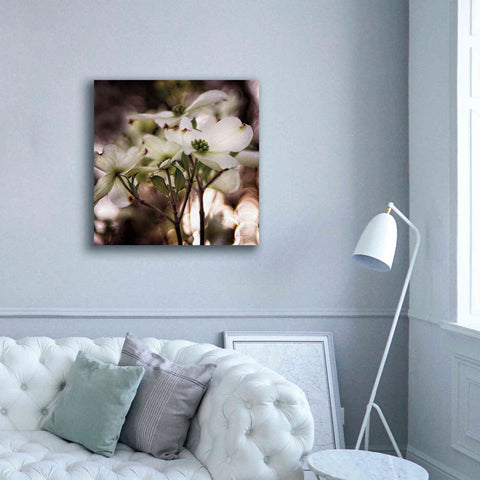 Image of 'White Dogwood II' by Debra Van Swearingen, Canvas Wall Art,37 x 37