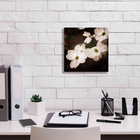 Image of 'White Dogwood III' by Debra Van Swearingen, Canvas Wall Art,12 x 12