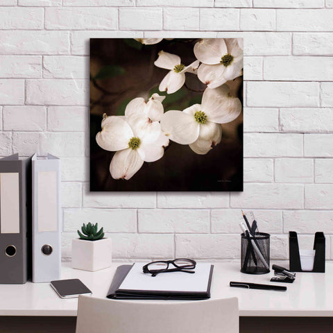 Image of 'White Dogwood III' by Debra Van Swearingen, Canvas Wall Art,18 x 18