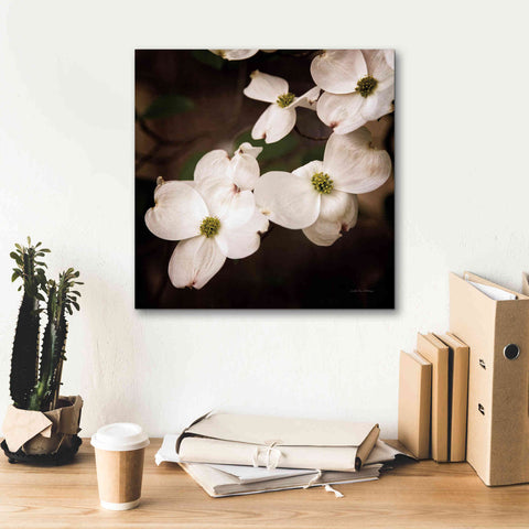 Image of 'White Dogwood III' by Debra Van Swearingen, Canvas Wall Art,18 x 18