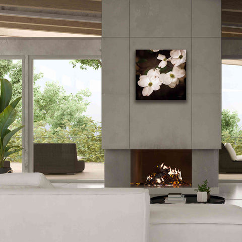 Image of 'White Dogwood III' by Debra Van Swearingen, Canvas Wall Art,26 x 26