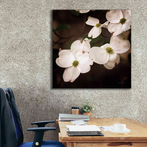 Image of 'White Dogwood III' by Debra Van Swearingen, Canvas Wall Art,37 x 37