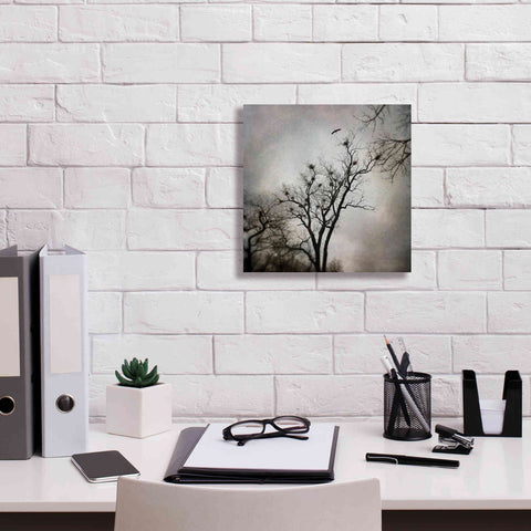 Image of 'The Heron Rookery' by Debra Van Swearingen, Canvas Wall Art,12 x 12