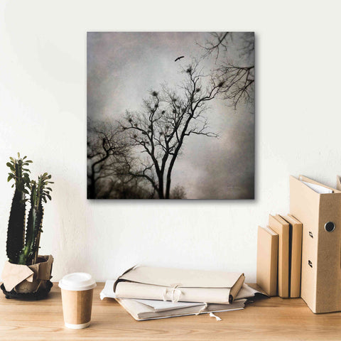 Image of 'The Heron Rookery' by Debra Van Swearingen, Canvas Wall Art,18 x 18