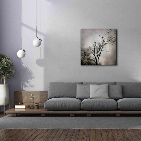 Image of 'The Heron Rookery' by Debra Van Swearingen, Canvas Wall Art,37 x 37