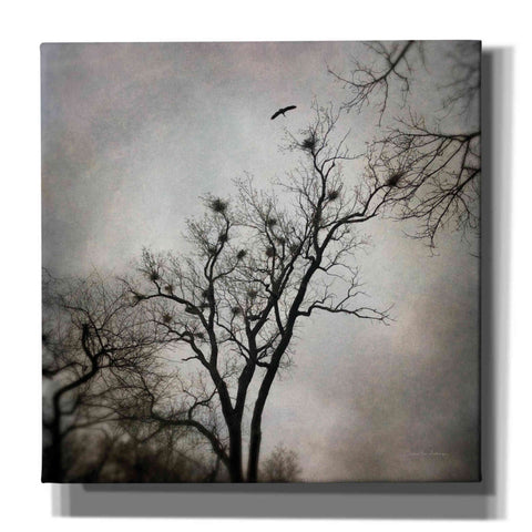 Image of 'The Heron Rookery' by Debra Van Swearingen, Canvas Wall Art,12x12x1.1x0,18x18x1.1x0,26x26x1.74x0,37x37x1.74x0
