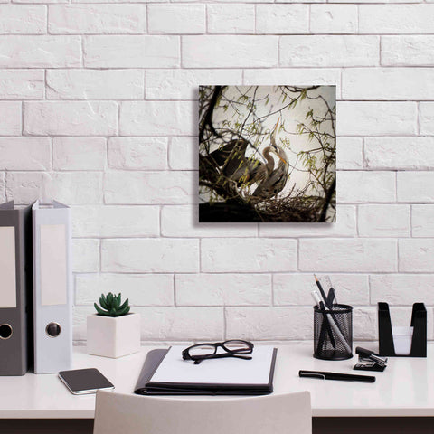 Image of 'Connection' by Debra Van Swearingen, Canvas Wall Art,12 x 12